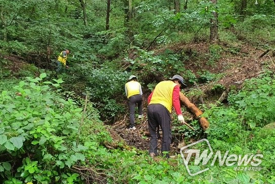 산림보호지원단이 산림에서 정화활동을 하고 있다.
