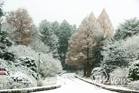「겨울나무 생태탐방 특별프로그램 운영」 관련 사진