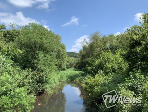 비무장지대(DMZ)에서 새로운 산림습원 발견