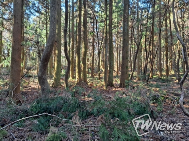 제주도, “임야 대상 농업경영체 등록 서두르세요!!”