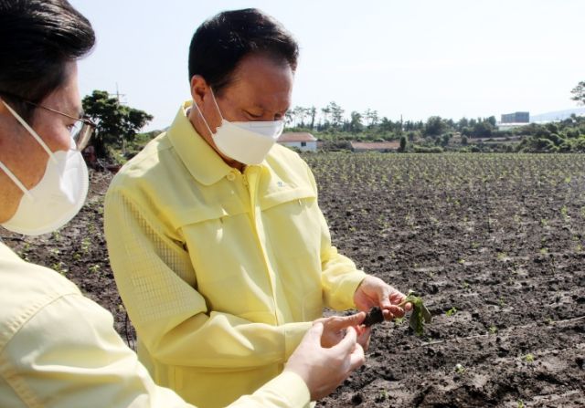 애월·한경면 찾아 농가 피해상황 파악