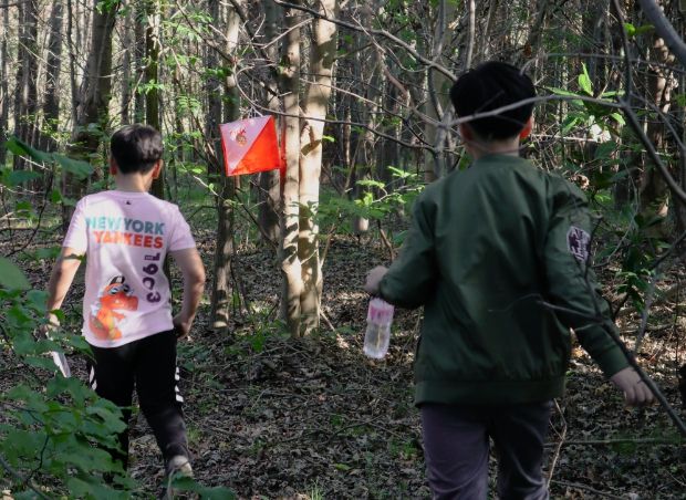 숲속해피챌린지