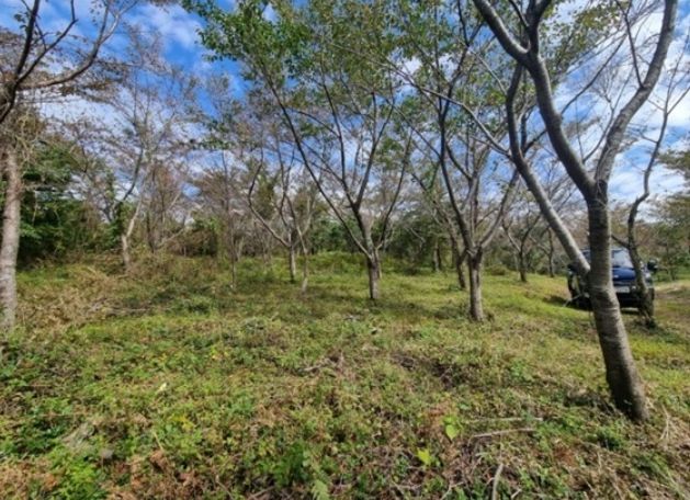 2022년 하반기 공익숲가꾸기 사업