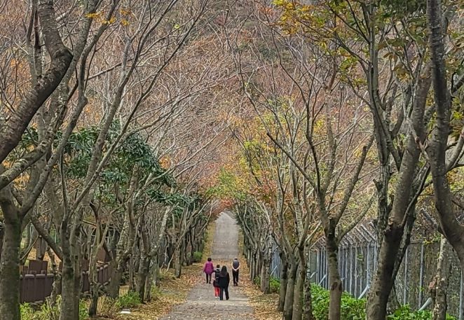 노루생태관찰원