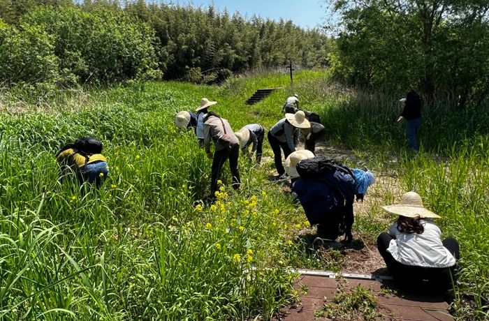 하동군, 생태계교란 생물 퇴치사업 추진