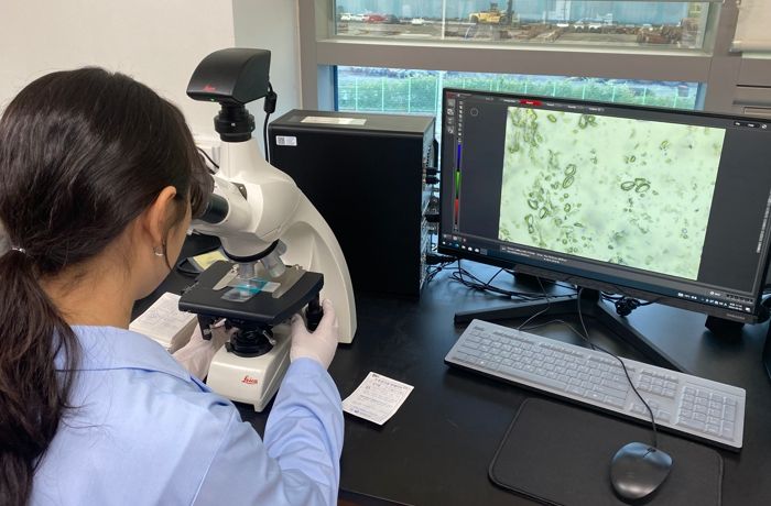 요충핀테이프 광학현미경 검사