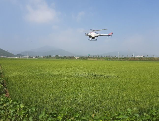 항공 공동방제 모습