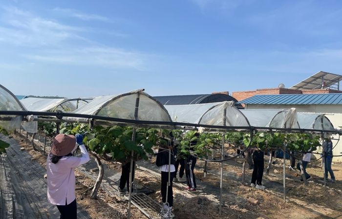 김제시 가족복지과, 영농철 농촌일손돕기 추진에 구슬땀!