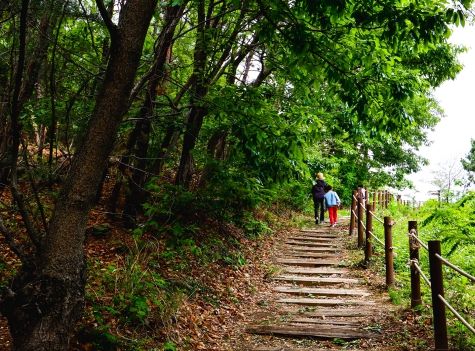 달성군, 숲길등산지도사와 함께하는 ‘달성 둘레길 걷기 행사’진행