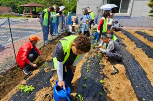 남양주시 금곡동 지역사회보장협의체,중장년 1인 가구를 위한 ‘THE 힘밭기’ 사업 추진