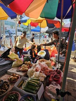 영천공설시장 인도(人道)를 보행자에게 돌려드립니다