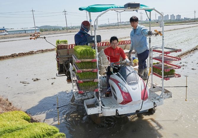 박경귀 시장 모내기 시연 장면