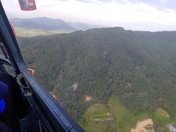 경북도, 소나무재선충병 방제, 예비 관찰조사 착수!
