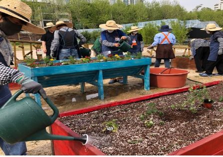 성동구 치매안심센터가 치매환자와 그 가족을 위한 야외치유 프로그램을 운영하고 있다.