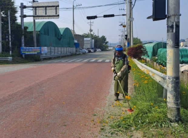 연도변 제초작업