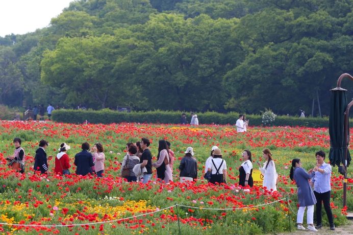 경주 동부사적지 ‘첨성대’ 주변이 봄꽃의 정취를 만끽할 수 있는 꽃들로 물들었다.