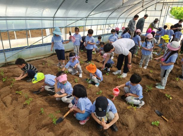 산나물 텃밭체험 프로그램