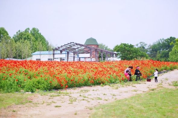 지난해 열린 ‘푸른지대 행복한 장날’ 행사