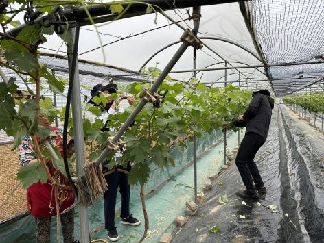 김천시 개령면, 봄철 농촌 일손 돕기 실시