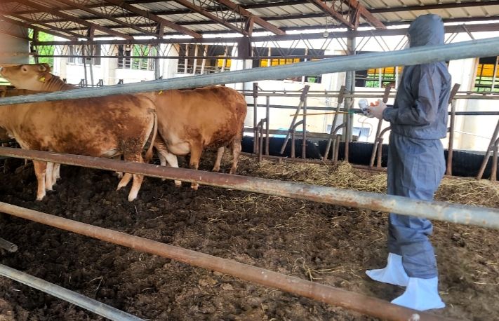 긴급 추가 백신접종 장면