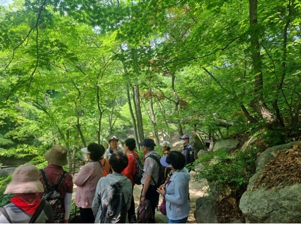 지역 내 만성질환자들이 ‘힐링숲속캠프’에 참여해 다양한 프로그램을 체험하고 있다