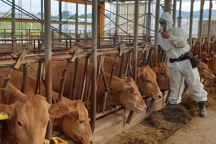 여주시, 구제역 유입 차단에 총력