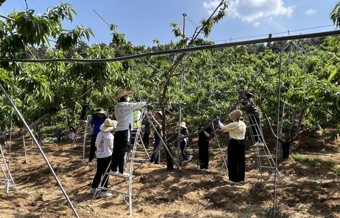 전주시, ‘영농철 일손 부족 농가에 힘 보태요!’
