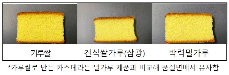 카스테라 단면