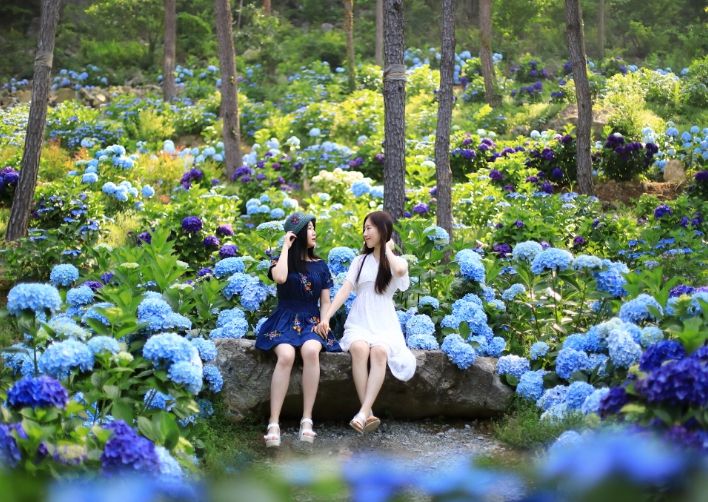 포레스트수목원