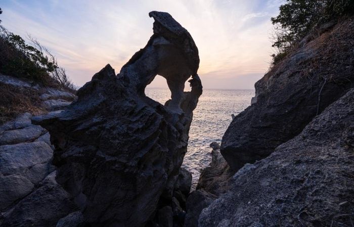 모항 생선뼈광맥계