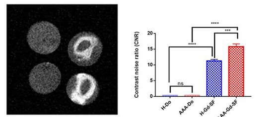 케이메디허브 연구진이 대구가톨릭대학교와 공동으로 복부대동맥류를 진단할 수 있는 조영제를 개발하고 유효성을 입증하여 관련 논문을 국제학술지에 게재했다. 그림은 정상 복부대동맥과 부풀어 오른 비정상 대동맥에서 조영 효과를 확인한 모습.(위 왼쪽: 정상 대동맥 + 기존 상용 조영제, 위 오른쪽: 정상대동맥 + 개발된 조영제, 아래 왼쪽: 비정상 대동맥 + 기존 상용 조영제, 아래 오른쪽: 비정상 대동맥 + 개발된 조영제). 기존 조영제로는 문제있는 대동맥의 차별점을 찾아내기 어렵지만, 개발된 조영제로는 쉽게 비정상 상태를 확인할 수 있다.
