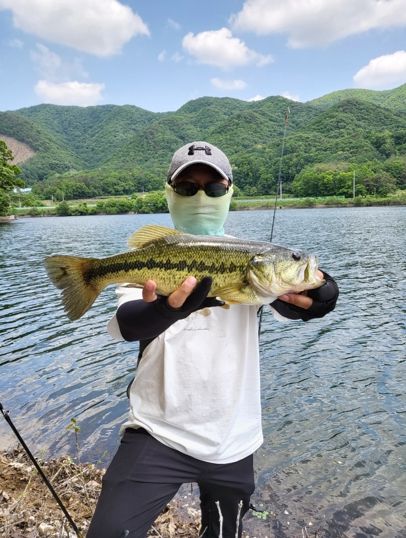 충북교육청 청렴수, 배스 퇴치 봉사활동