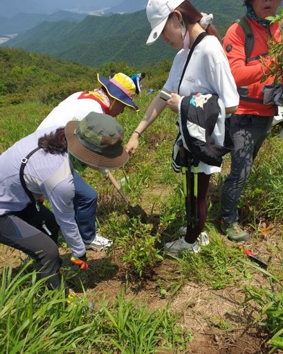 김해시지속가능발전협의회, 신어산 철쭉 묘목심기 캠페인 펼쳐