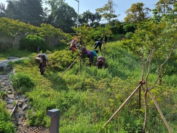 통영시, 도심 곳곳 쾌적한 공원‧녹지 유지관리 추진