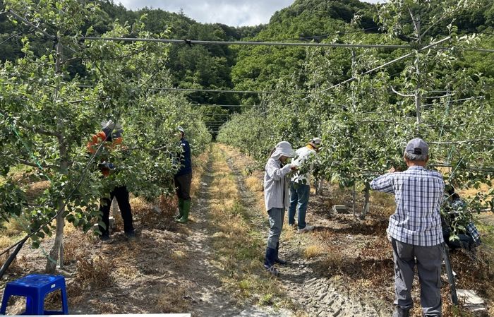 봄철 농촌일손돕기