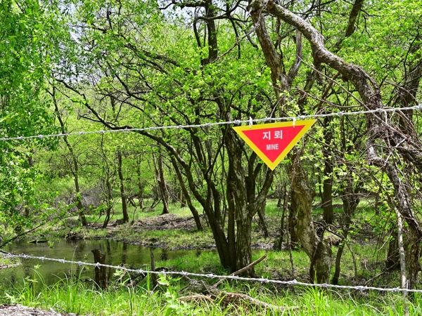DMZ생태평화공원 용양보 탐방로(용양늪) 25일부터 확대 개방