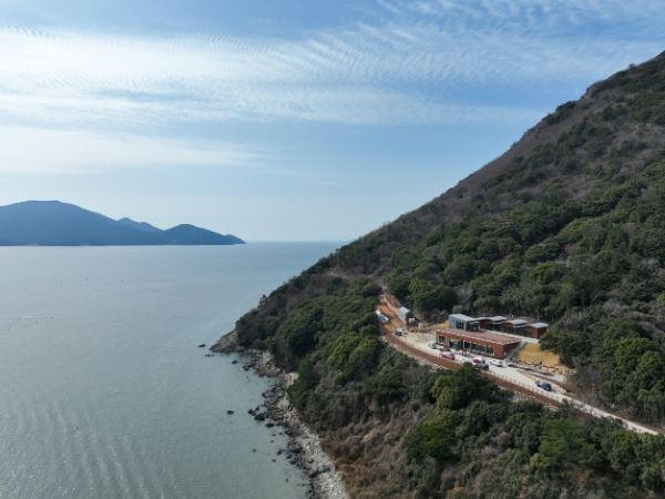 완도 약산 동백숲, 피톤치드 발산량 내륙지역보다 3배 높아