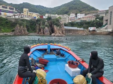 지난 18일(목) 신안군 홍도1구어촌계(어촌계장 최세웅)에서 해녀를 동원하여 해삼 2만 2천미를 방류하고 있다.