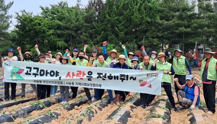 서농동 지역사회보장협의체 위원들 및 각단체 회원들이 참여한 가운데 22일 사랑의 고구마 심기 행사를 열었다