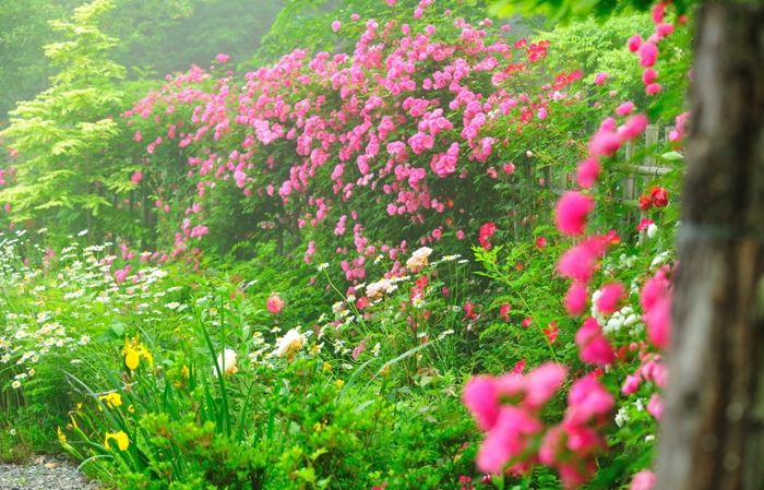 정원문화 확산- 담양 죽화경