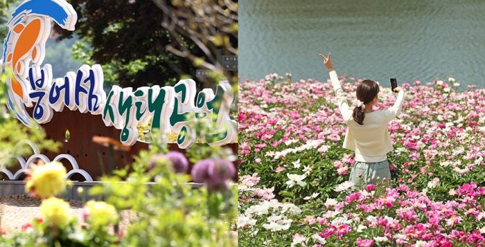 임실군, 사계절 꽃천지 옥정호 붕어섬 생태공원 전국 관광명소 인기