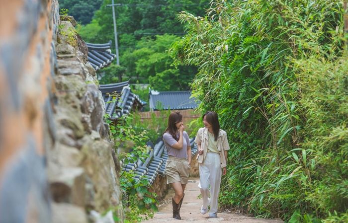 ‘썸타는 버스’ 타고 완주 여행 떠나자