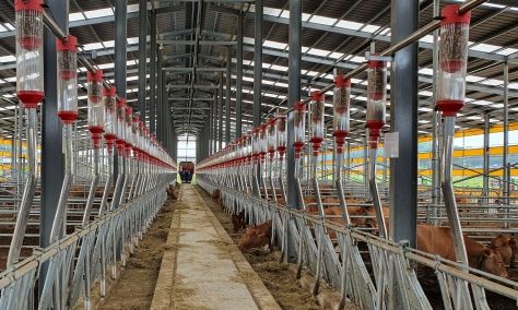 한우 농가 자동급이시설 구축 사진