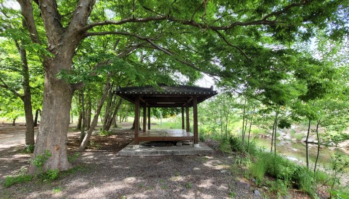 청주시 미원면 대덕숲, 꿀잼도시 속 '힐링 숲' 제공