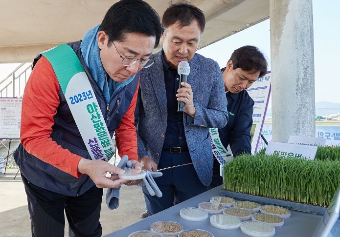 아산맑은쌀 브랜드 원료곡 신춤종 해맑은 벼 이앙행사