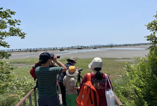 저어새 등 조류 탐조(2022년)