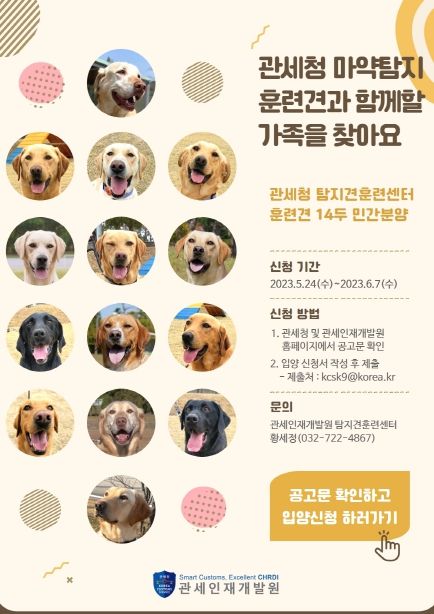 훈련견 민간분양 포스터