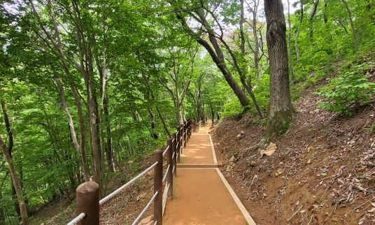 창원특례시,“성주사 황토길에서‘맨발 힐링’해요”