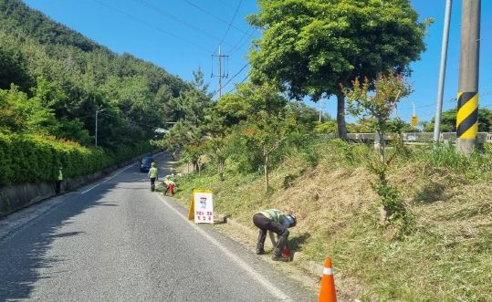 통영시, 도로변 가로경관 정비로 성공적인 도민체전 개최