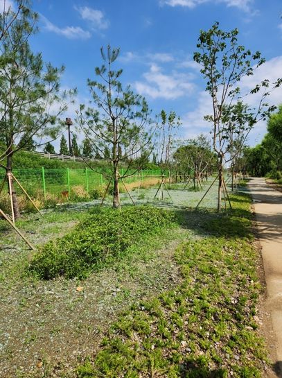 기흥구가 탄천 일원에서 테마가 있는 보행환경 조성사업을 마무리했다.
